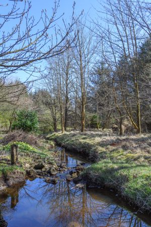 Photo 35- click for photo gallery